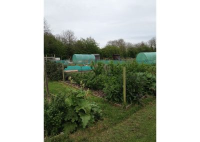 Goxhill allotments